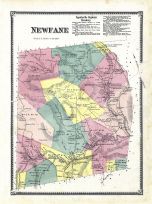 Newfane, Windham County 1869